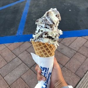 Meet your Posher, Joy